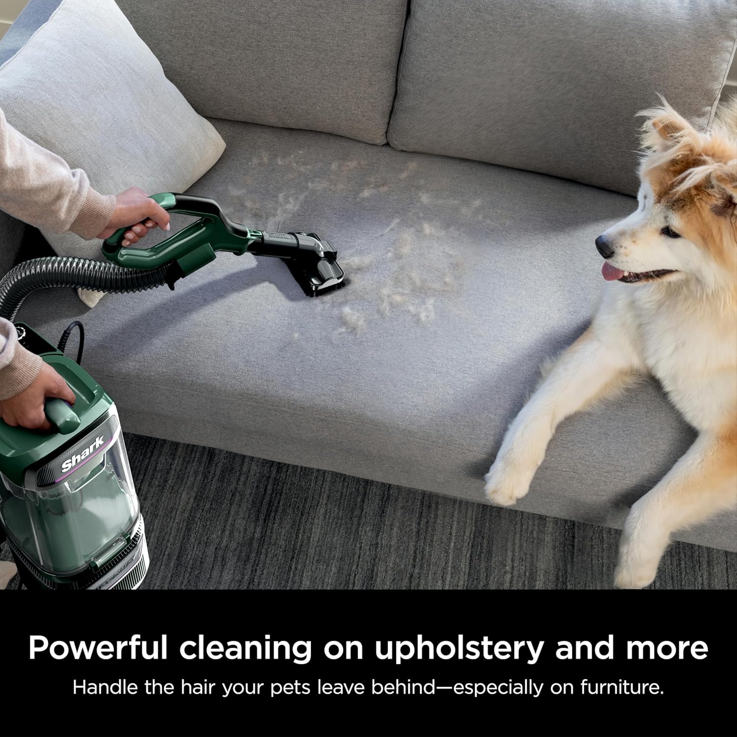 Shark NV352 Navigator Lift Away Upright Vacuum, Hepa Filter, Anti-Allergen Technology, Swivel Steering, Ideal for Carpet, Stairs, & Bare Floors, with Wide Upholstery & Crevice Tools, Lavender